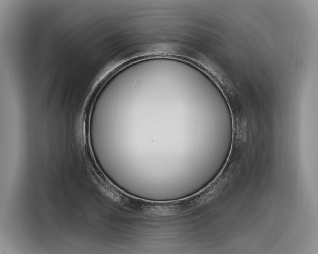 X0000116891078200912221449