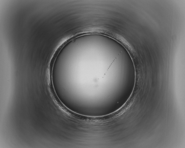 X0000116891079200912221449