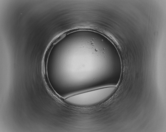 X0000116891080200912221449