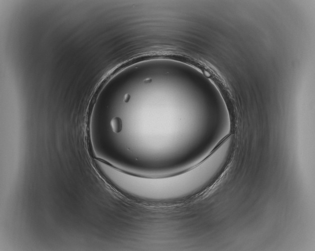 X0000116891081200912221449