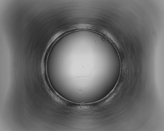 X0000116891082200912221449