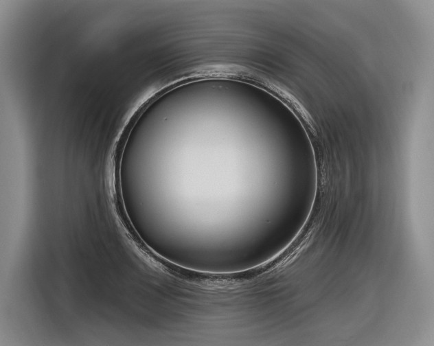 X0000116891083200912221449