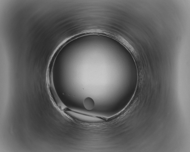 X0000116891084200912221448