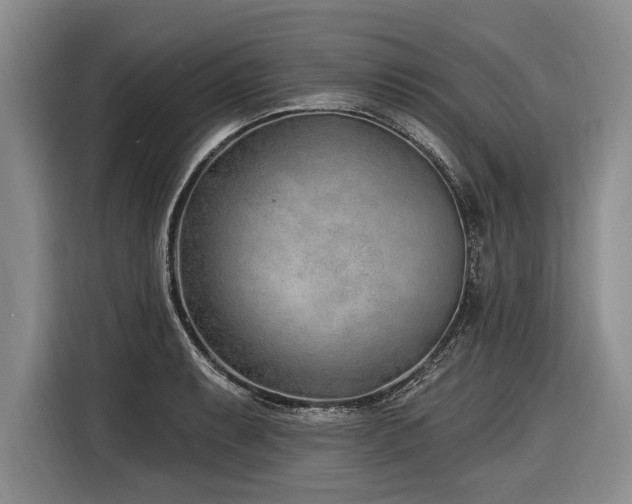 X0000116891087200912221448