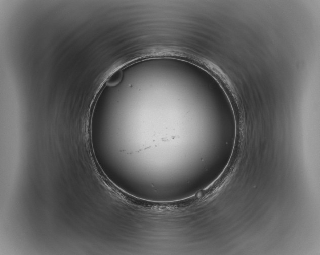 X0000116891089200912221448