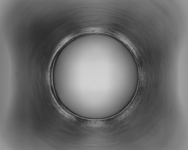 X0000116891090200912221448