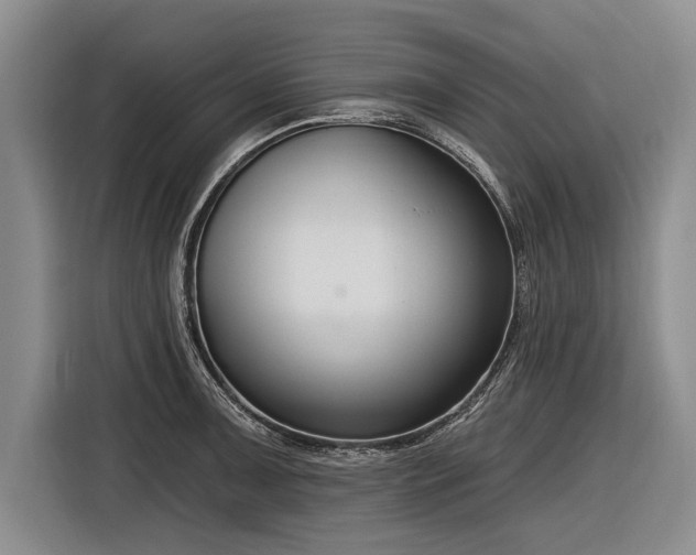 X0000116891091200912221448
