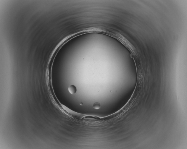 X0000116891092200912221448