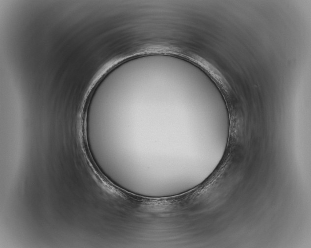 X0000116891094200912221448