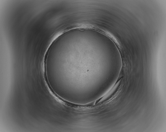 X0000116891095200912221448