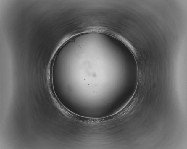 X0000116891099200912221448