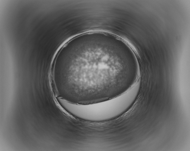 X0000116891100200912221448