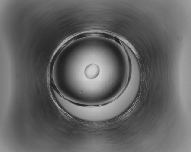 X0000116891101200912221448