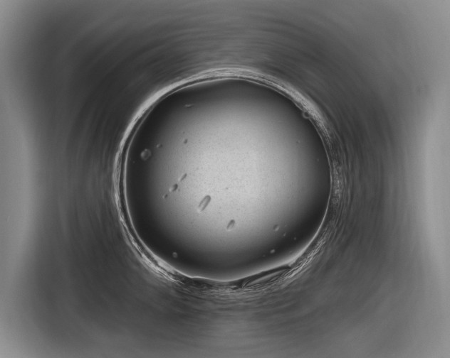 X0000116891102200912221448