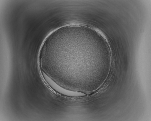 X0000116891104200912221448