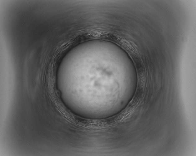 X0000116891105200912221448