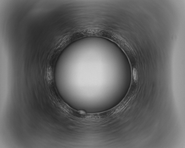 X0000116891107200912221448