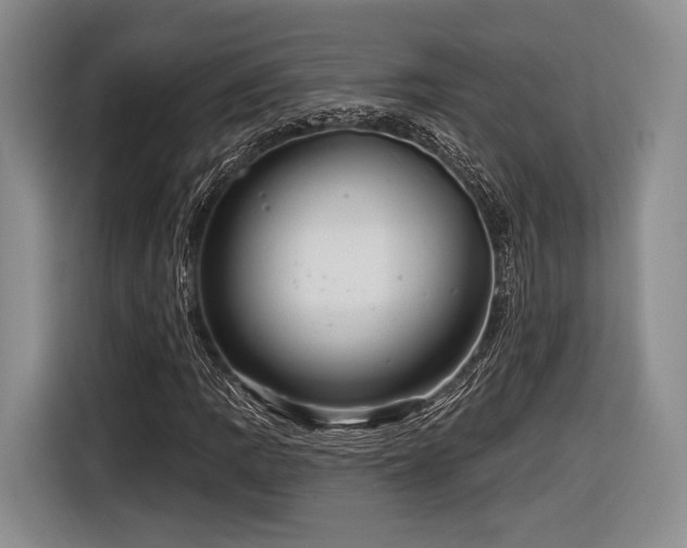 X0000116891109200912221448