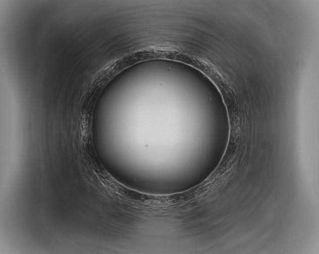 X0000116891110200912221448