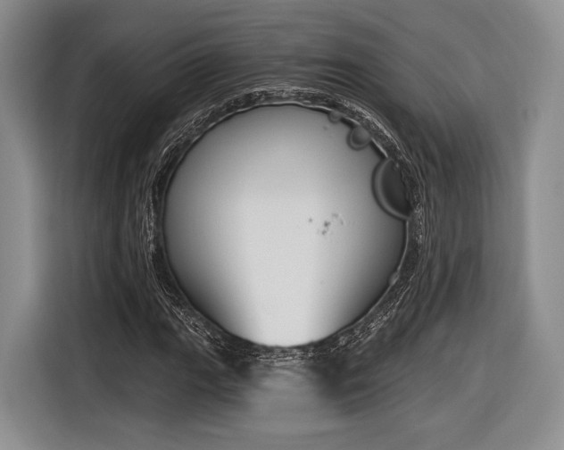 X0000116891111200912221448