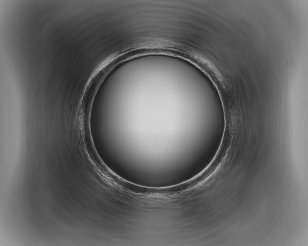 X0000116891114200912221448