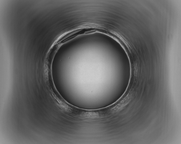 X0000116891115200912221448