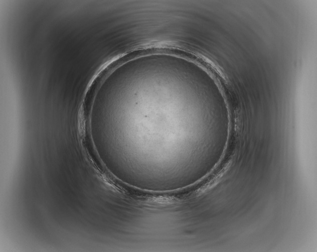 X0000116891117200912221448
