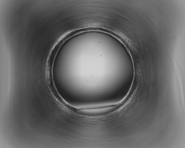 X0000116891118200912221448