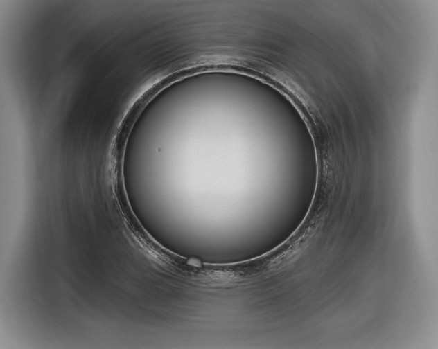 X0000116891119200912221448