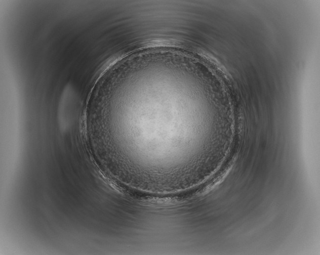X0000116891121200912221448