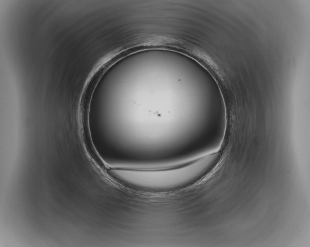 X0000116891122200912221448