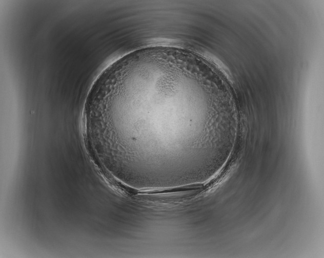 X0000116891125200912221448