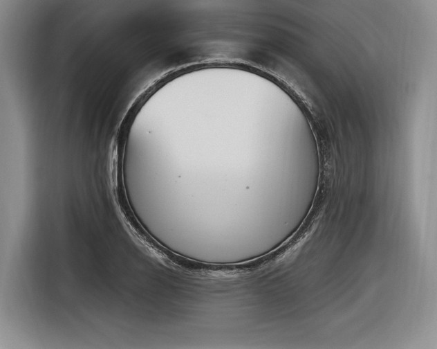 X0000116891126200912221448