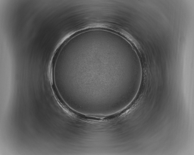 X0000116891127200912221448
