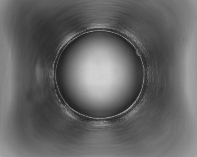 X0000116891129200912221448