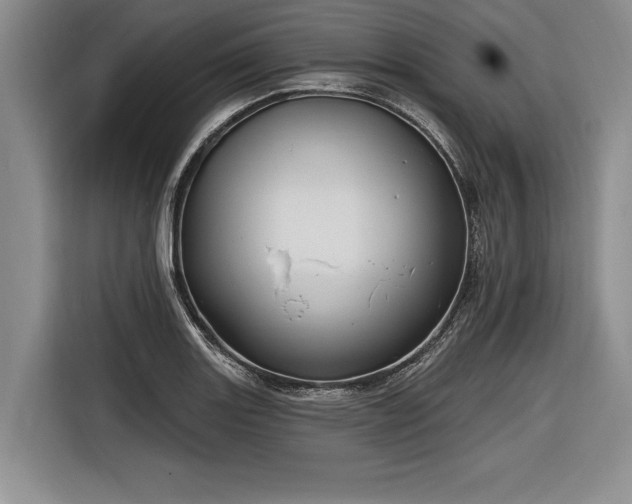 X0000116891131200912221448