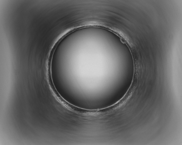 X0000116891134200912221448