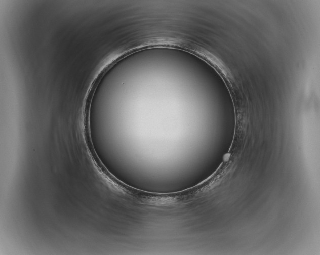X0000116891135200912221448