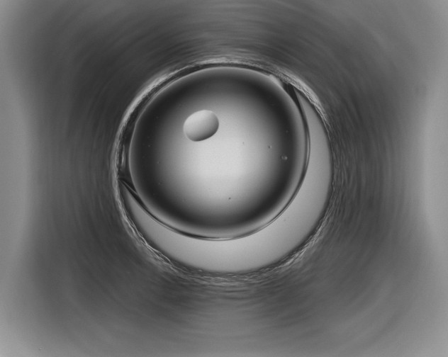 X0000116891138200912221448