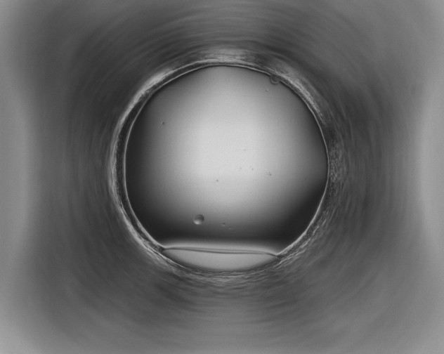 X0000116891139200912221448