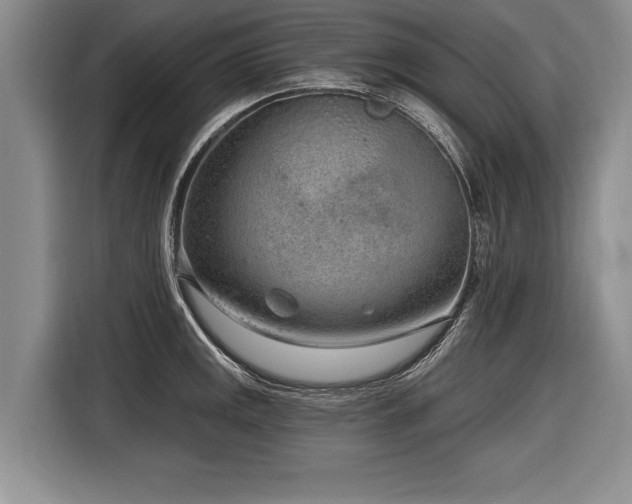X0000116891141200912221448