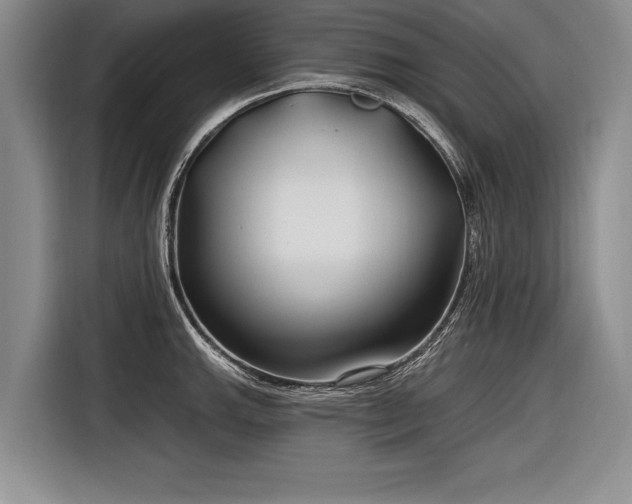 X0000116891143200912221448