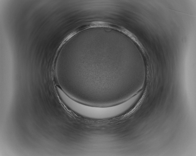 X0000116891145200912221448