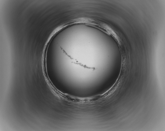 X0000116891146200912221448