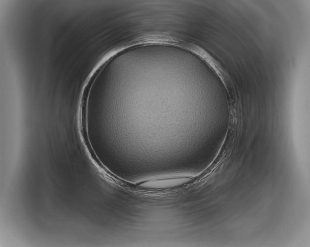 X0000116891147200912221448