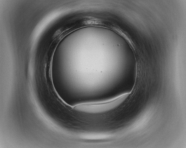 X0000116891151200912221448