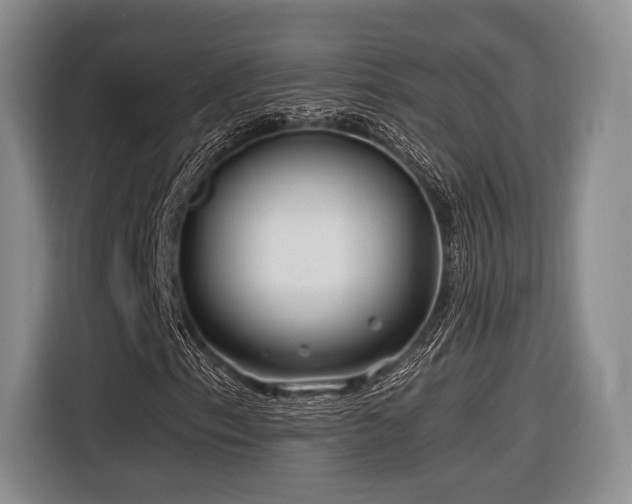 X0000116891153200912221448
