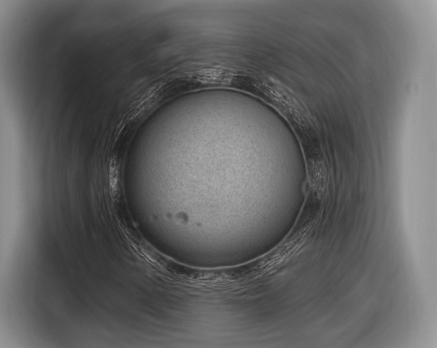 X0000116891154200912221448