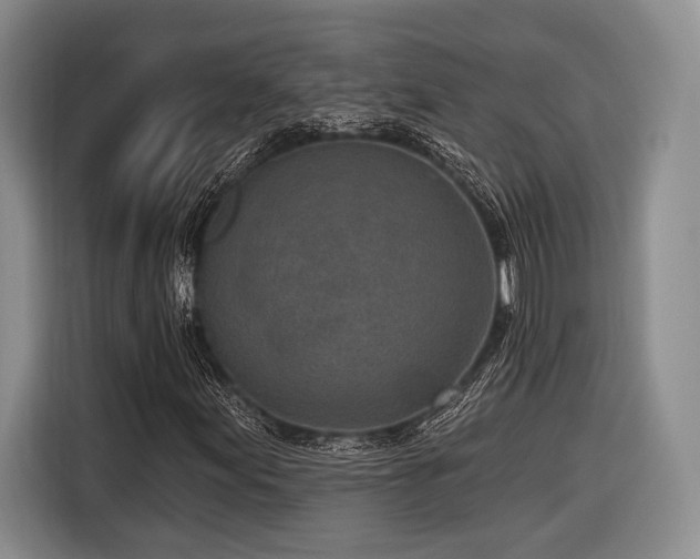 X0000116891155200912221448
