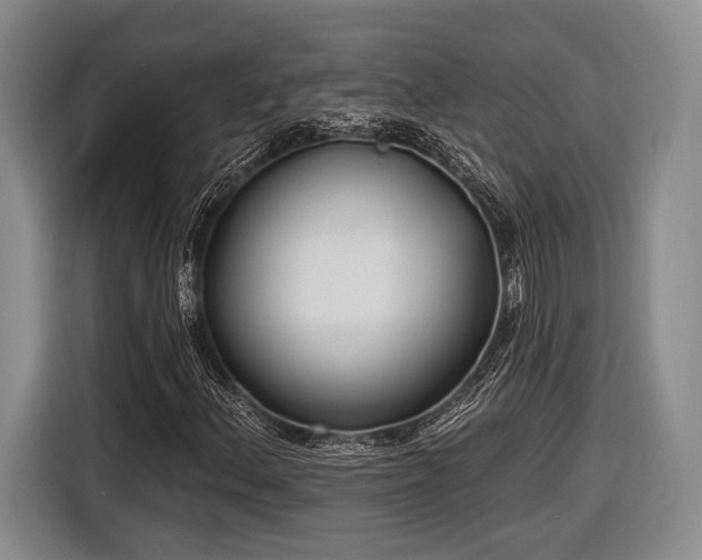 X0000116891156200912221448